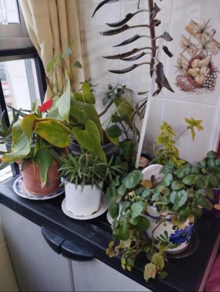 Habitaciones Privadas Con Cama Doble En Sevilla Zewnętrze zdjęcie